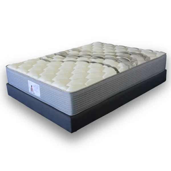 Perfect Posture Firm Mattress