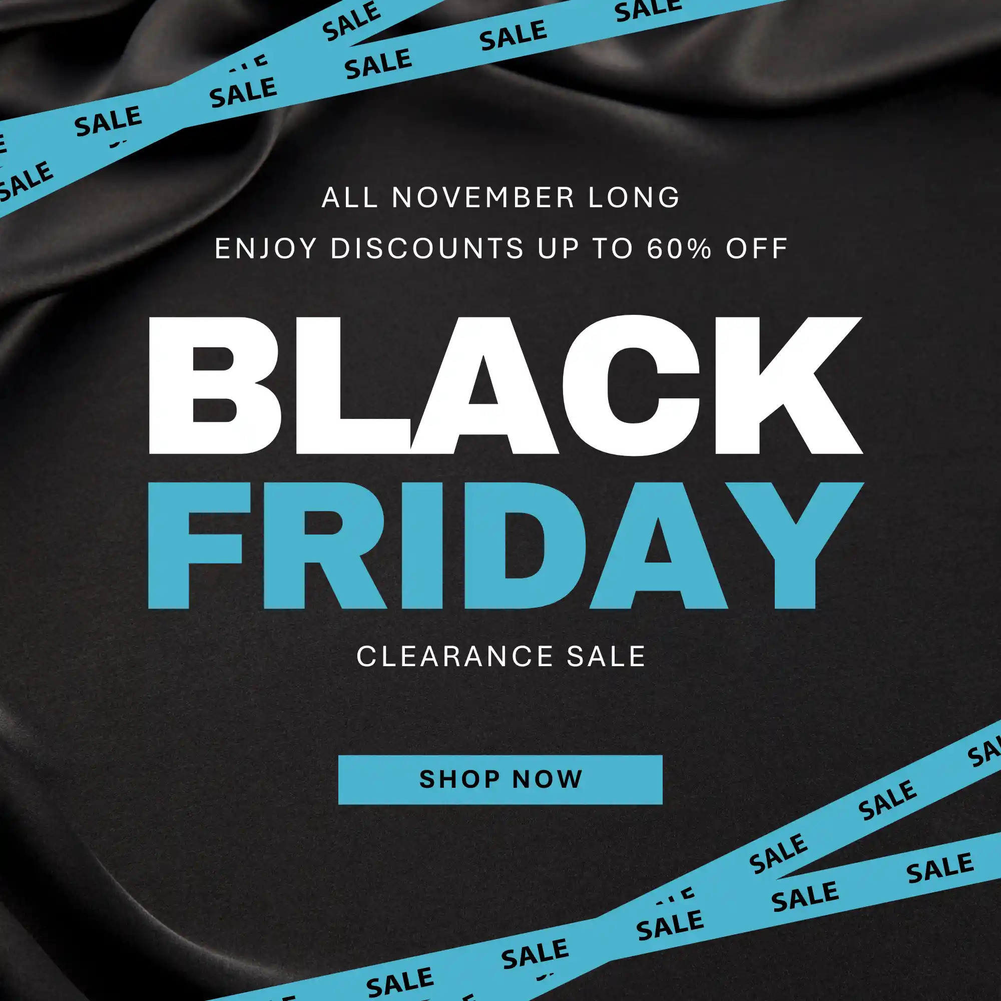 Black Friday Sale 2025